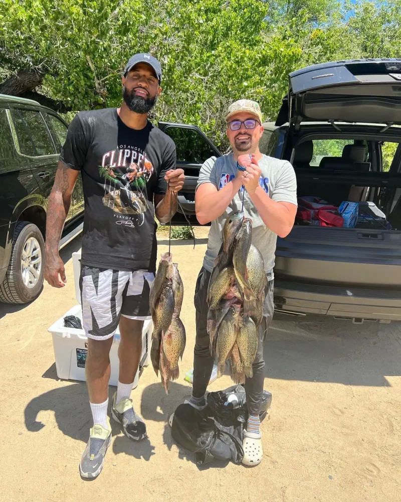 和芬兰等队 和芬兰等队