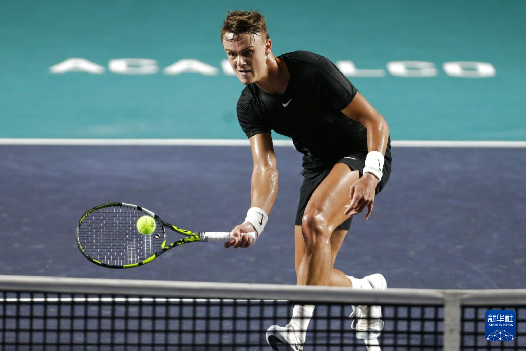 不喜欢当公 不喜欢当公